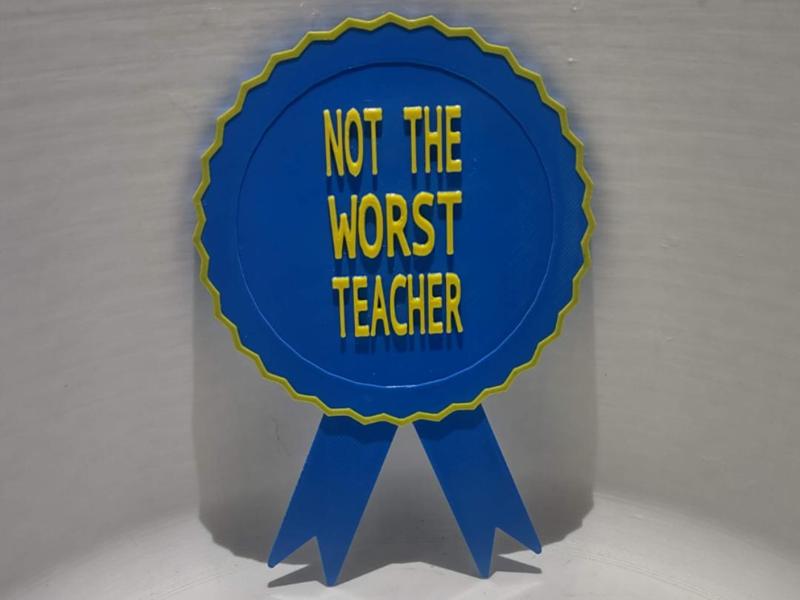 Not the Worst Teacher Ribbon Magnet