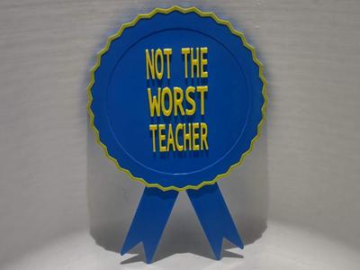 Not the Worst Teacher Ribbon Magnet
