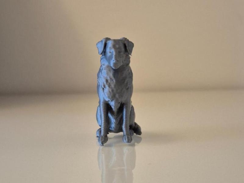 Australian Shepherd Dog Statue – 3D Printable