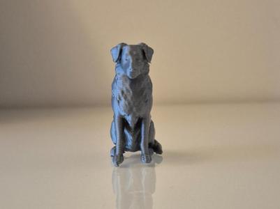 Australian Shepherd Dog Statue – 3D Printable