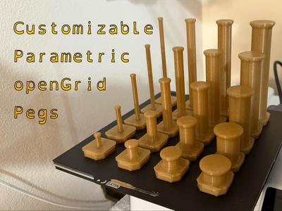 Customizable openGrid Pegs