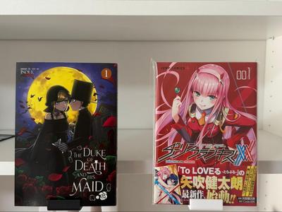 Buch und Manga Display Holder | Regal Ikea Billy