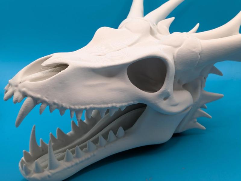 Big Dragon Skull
