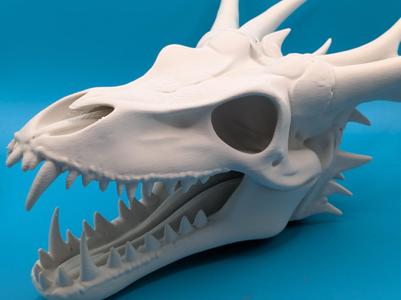 Big Dragon Skull