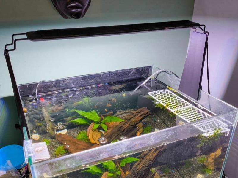 Aquarium Light Riser - Glass up to 7mm thick.