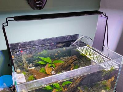 Aquarium Light Riser - Glass up to 7mm thick.