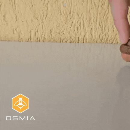 Osmia Nutshell Spinning Toy Keychain