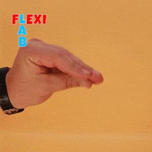 Hand puppet wolf marionette - Flexi LAB