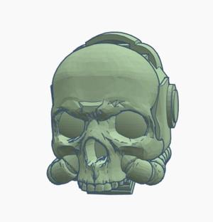 Chaplain Skull 40k