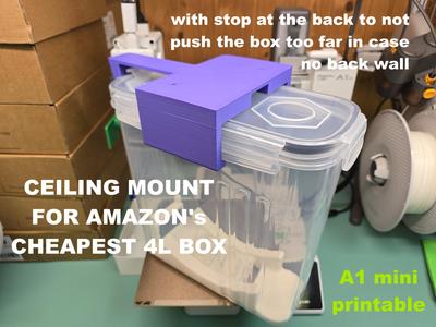 Ceiling/shelf mount for Amazon's cheapest 4L box