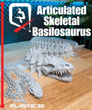 Articulated Skeletal Basilosaurus