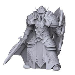 Elf paladin