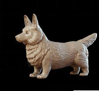 Corgi - neutral