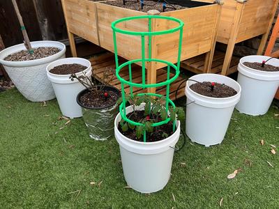 Stackable Plant / Tomato Cage