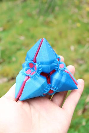 Colour Switch Fidget Toy
