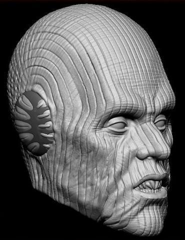 Pau'an - 1:6 Scale Star Wars Head Sculpt - Black Series - Hottoys 1:6 Scale- Action Figure 