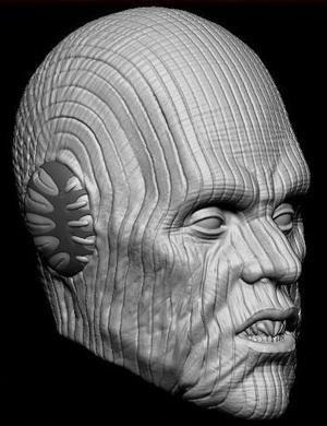 Pau'an - 1:6 Scale Star Wars Head Sculpt - Black Series - Hottoys 1:6 Scale- Action Figure 