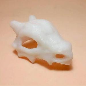 Cubone Skull
