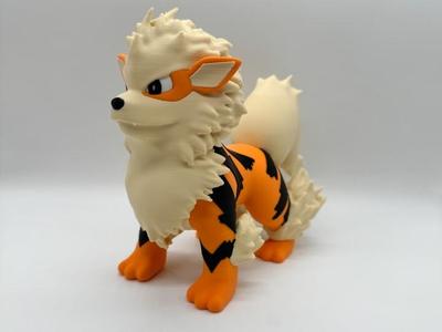 Arcanine Multicolor