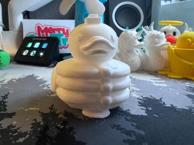 Pancake Duck