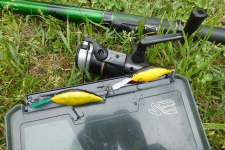 The Minnow