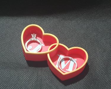 Customizable Rings Case