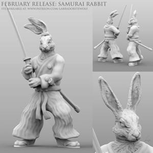Samurai Rabbit