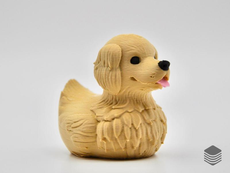 Golden Retriever Duck