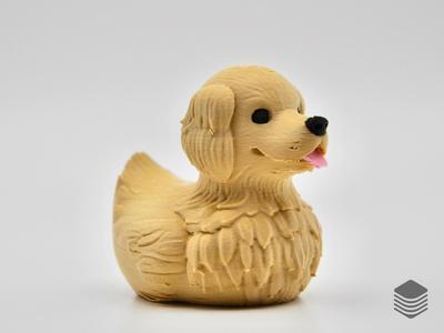 Golden Retriever Duck