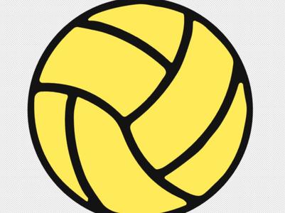 Waterpolo Ball (sports ball)