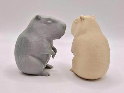 Capybara