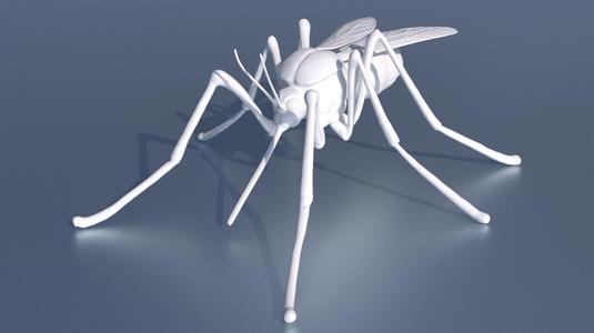 A mosquito for 3D printing