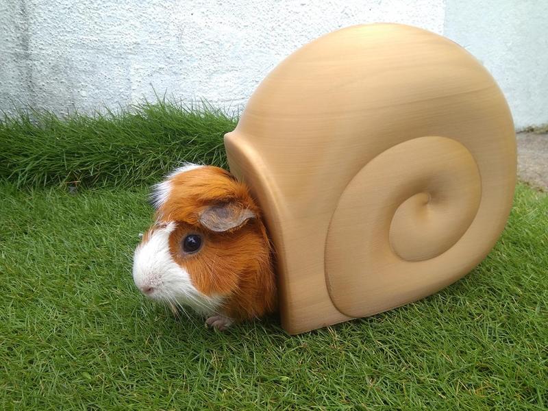 Pet House-Snail Shell Shape