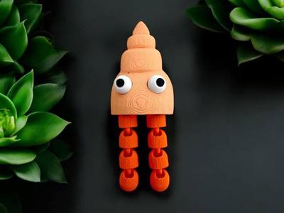 Adorable and Articulated Little Hermit Crab