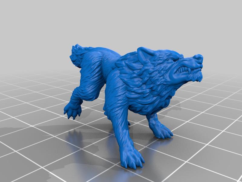 Wolf Snarling 2