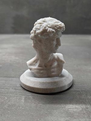 Michaelangelo's David Statue Bust as Coffee Tamper or Small Decoration