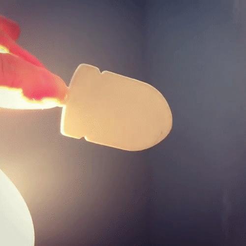 Bullet bill - transparency keychain