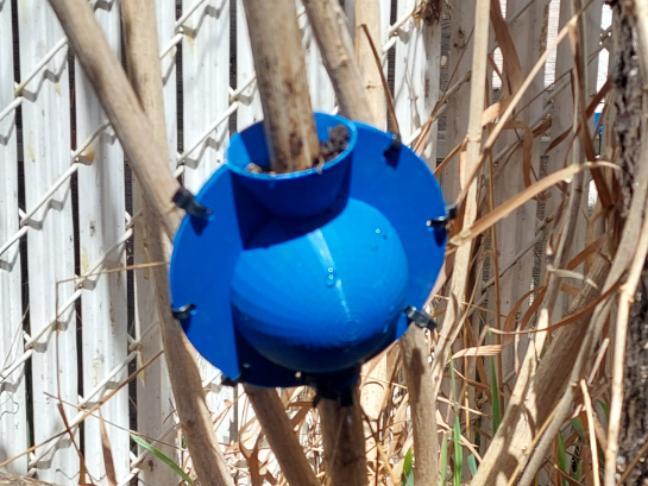 3" Rooting Ball