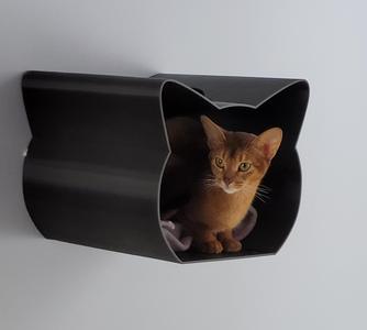 wall shelf for cat tablette murale pour chat