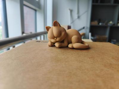 Sleeping Garfield Cat