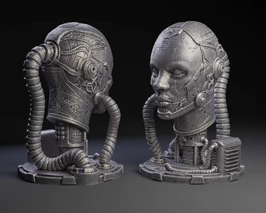 Cybernetic Head   
