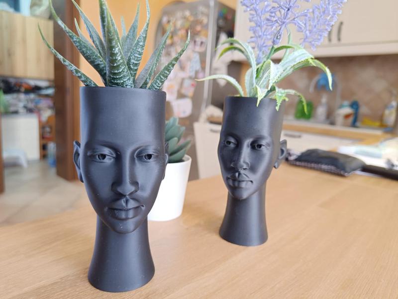 Echoes of Africa - Pot for Succulents