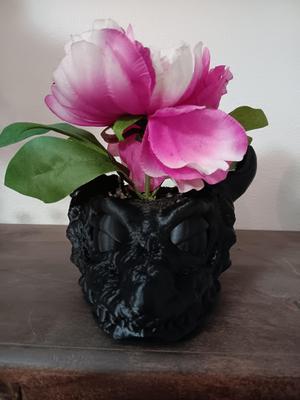 Dragon Head Plant Pot