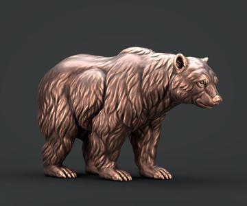 Brown Bear