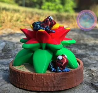 Rainforest Bromeliad Display (no flexis)