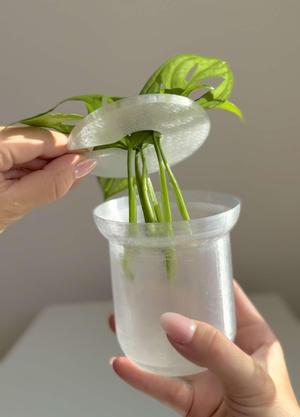 Propagation bowl 