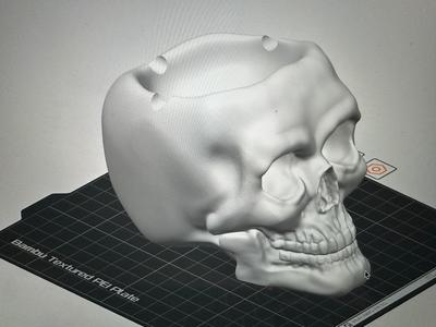 skull ashtray