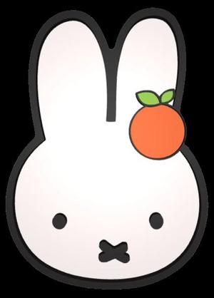 llavero de conejo