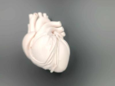 Realistic 3D Heart Model – A Unique & Stunning 