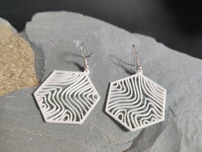 Terra Flow-Topographic Isolines